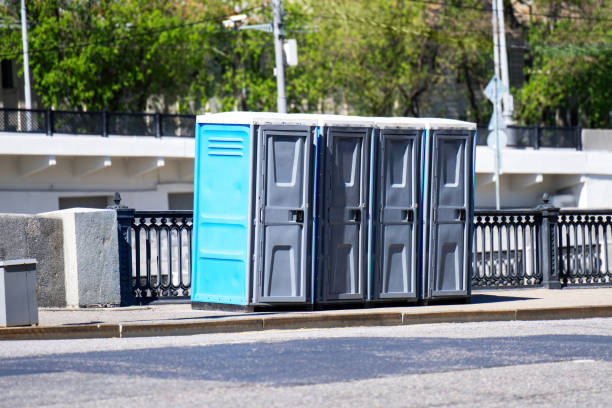 Best Luxury portable toilet rental  in Cass City, MI